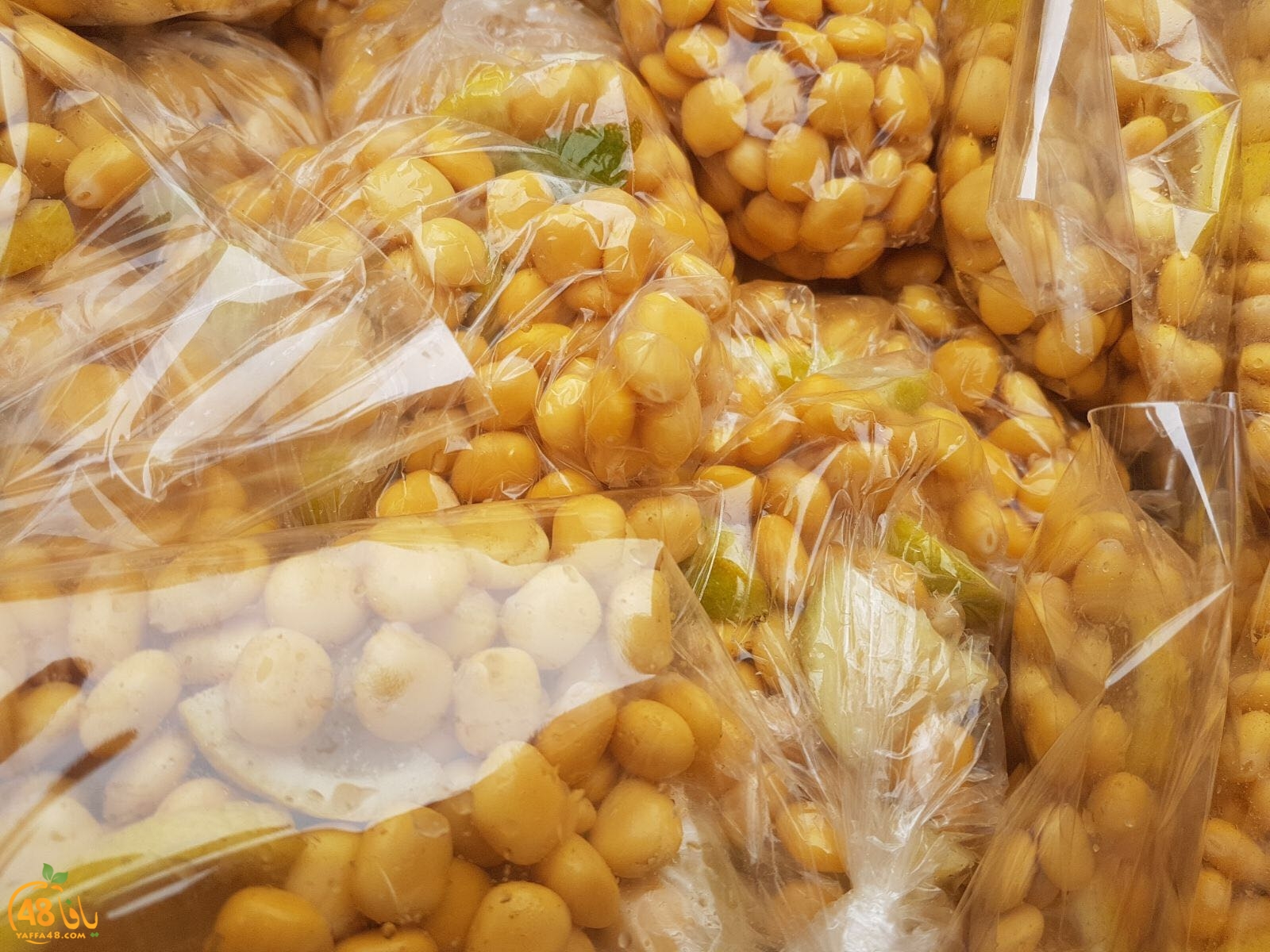 zahra2 primary school3 (11).jpg